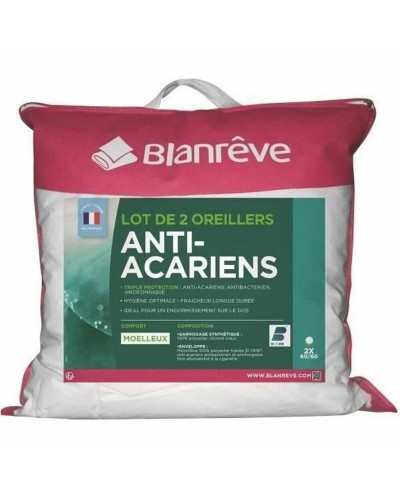 Blanreve Kissen 60x60 cm (2 Stück) - Weich und Bequem für Bett und Sofa
