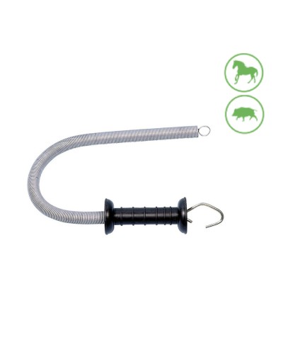 Porte d'accès Pastormatic dfv-32 Proximité : idéal pour des entrées sécurisées.
