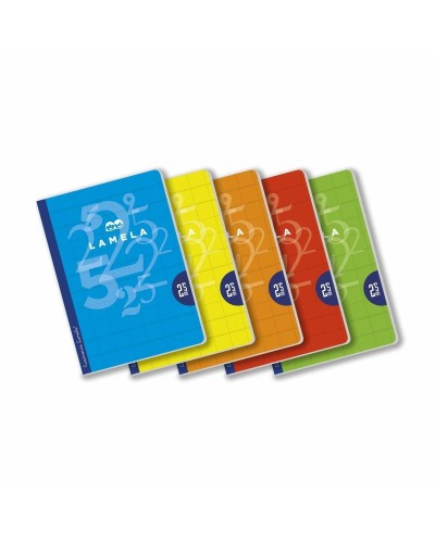 Notitieboekje Lamela Multicolour A4 (5 Onderdelen)