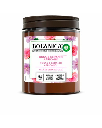 Tuoksukynttilä Air Wick Botanica Kurjenpolvi Ruusulla 205 g