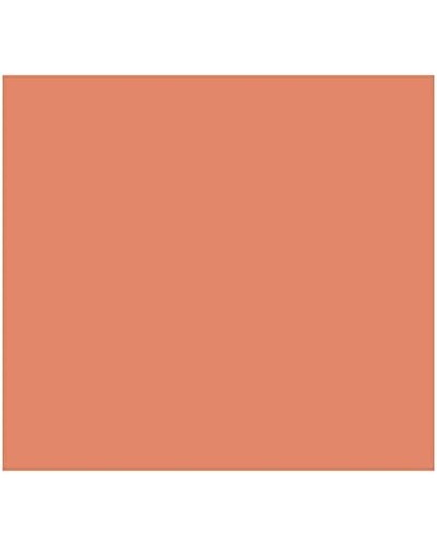 Cartons couleur Corail Iris pour Dessin 50 x 65 cm
