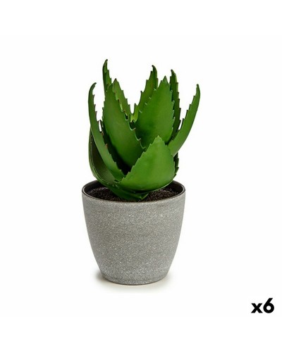 Dekorativ växt Aloe Vera 15 x 23,5 x 15 cm Grå Grön Plast (6 antal)