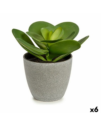 Planta Artificial de Interior | Verde Grisáceo | 18x18,5x18cm | Set de 6
