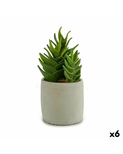 Decoratieve plant Vetplant Plastic 12 x 24 x 12 cm (6 Stuks)