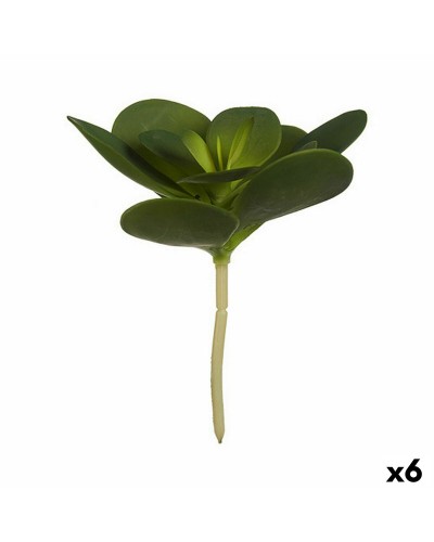 Plante Artificielle Feuilles Rondes Plastique - 6 Pcs. 18 x 23 x 18 cm
