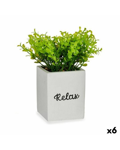 Koristekasvi Levyt Pieni Muovinen Sementti 13 x 18 x 13 cm (6 osaa)