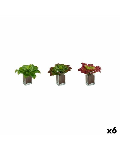 Two-Tone Artificial Plant (6 Pieces) | 31 x 24 x 31 cm | Indoor and Outdoor Decoration
