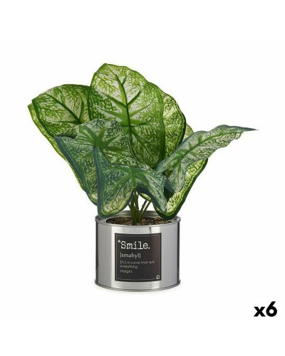 Caladio Artificial de Interior, 6 Unidades, 26 x 26 x 26 cm

