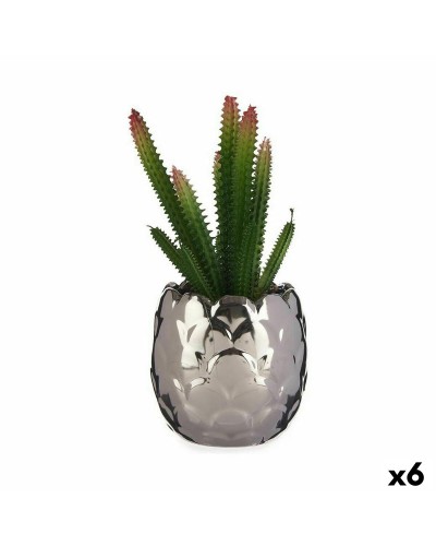 Cactus da interno in ceramica e plastica, 10 x 20 x 10 cm, confezione da 6