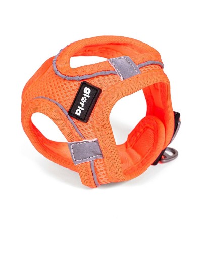 Hundegeschirr Gloria Air Mesh Trek Star Orange Verstellbar L (33,4-35 cm)
