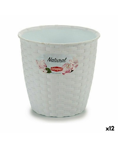 Vasi Stefanplast Bianchi in Plastica da 14 x 13 x 14 cm, Confezione da 12