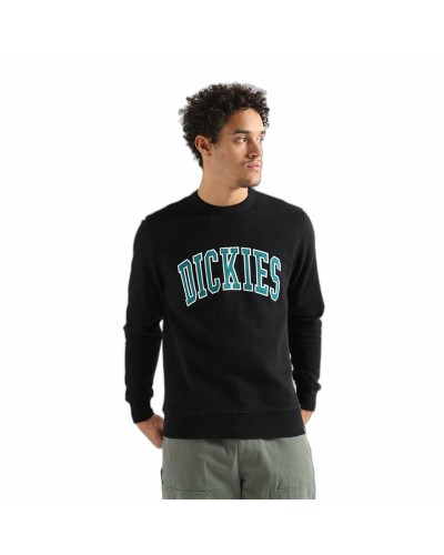 Dickies Aitkin Sudadera con Capucha Negra - Casual & Cálida
