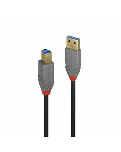 USB-kabel LINDY 36744 5 m Zwart Grijs