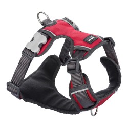 Imbracatura per Cani Red Dingo Trapuntata - Taglia XS - Rosso