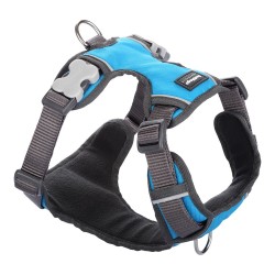 Harnais pour Chien Red Dingo Matelassé Turquoise XS - Conception Rembourrée pour un Confort Maximal
