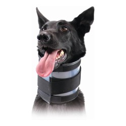 KVP Black Cervical Collar for Medium Breed Dogs (9-36 cm)
