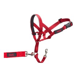 Halti Maulkorb Company of Animals - Hunde Trainingsleine (31-40 cm)
