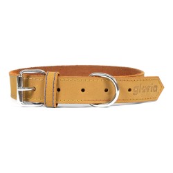 Collier pour Chien Gloria Oasis Jaune - 60 x 3 cm - Confortable et Réfléchissant
