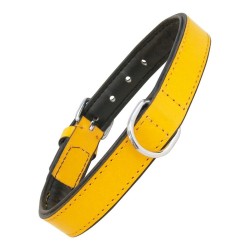 Collar Acolchado Gloria para Perros | Amarillo | Comodidad y Seguridad (35 x 1,5 cm)
