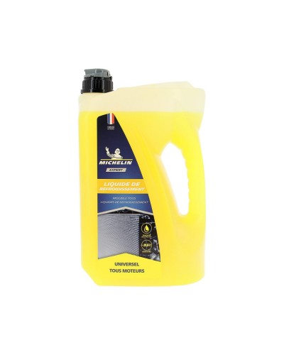 Michelin Frostschutz Konzentrat -40°C, 4 Liter: Totaler Motorschutz
