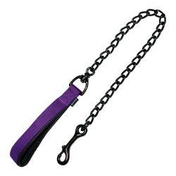Laisse pour Chien Robuste Glory Classic : Violet, 4mm x 60 cm
