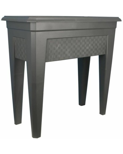 Kasvit Riviera Harmaa 60 cm