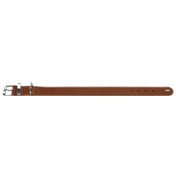 Collier Hunter Aalborg Special Cognac pour Chien - Taille Réglable - Robuste et Confortable
