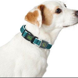 Hunter Basic Collier pour Chien en Fil Bleu, Taille M (33-50 cm)
