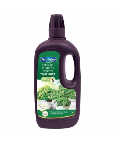 Engrais Biologique Fertiligène Green Plant | Idéal pour Plantes Vertes | 1 Litre
