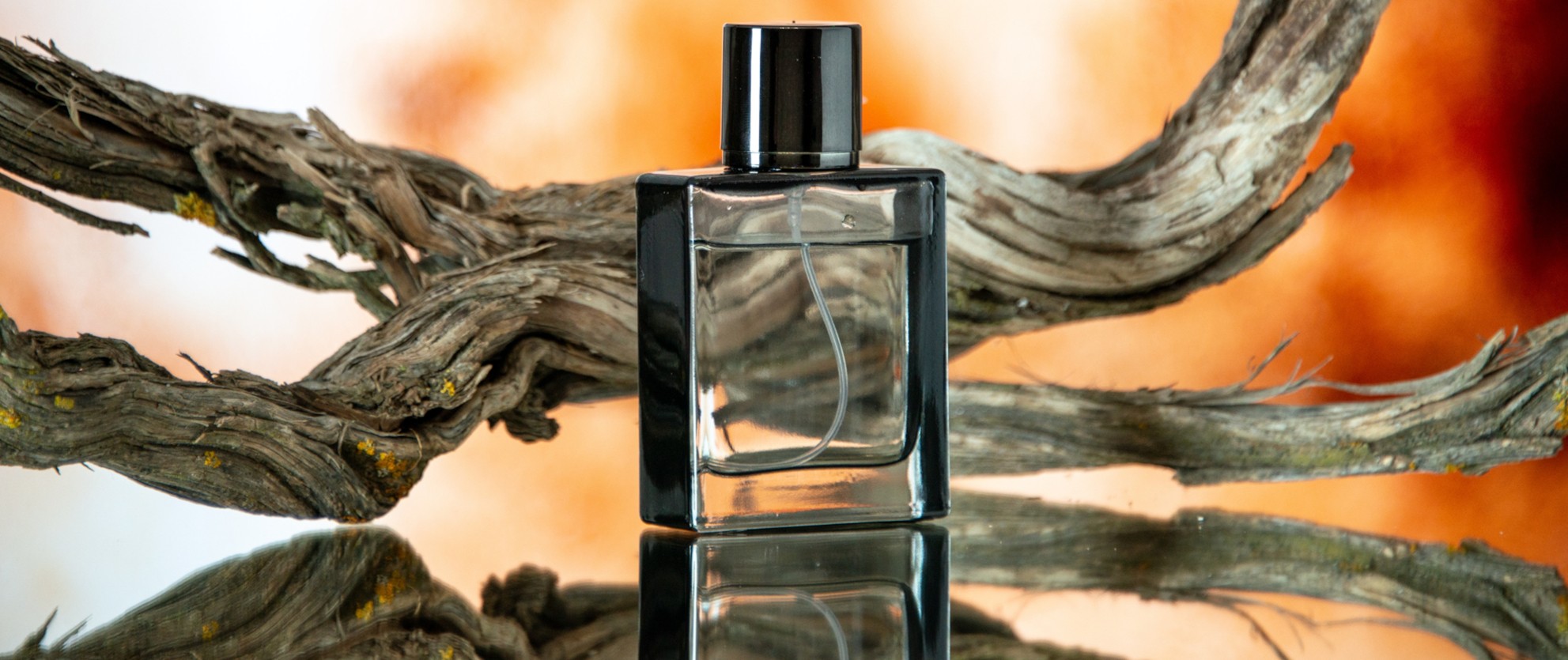 PARFUMS POUR HOMMES